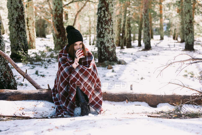 Female wrapped in warm plaid sitting on tree trunk in snowy winter forest and enjoying hot drink from cup — Stock Photo