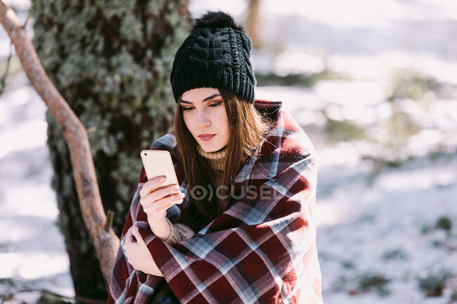 Female wrapped in warm plaid sitting on tree trunk in winter forest and browsing mobile phone on sunny day — Stock Photo