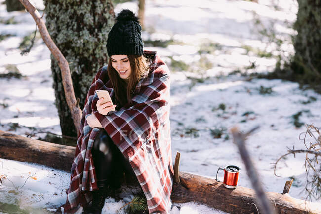 Cheerful female wrapped in warm plaid sitting on tree trunk in winter forest and browsing mobile phone on sunny day — Stock Photo