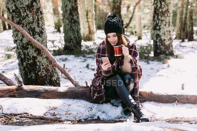 Mulher alegre envolto em xadrez quente sentado no tronco da árvore na floresta de inverno e navegando telefone celular no dia ensolarado — Fotografia de Stock