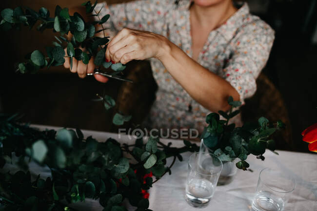 Неузнаваемая женщина с ножницами обрезает стебли растений с пышной зеленой листвы, сидя за столом со стаканами дома — стоковое фото