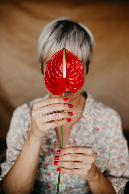 Unrecognizable female with manicure wearing dress demonstrating red laceleaf with pestle and green stem while standing in room on blurred background - foto de stock