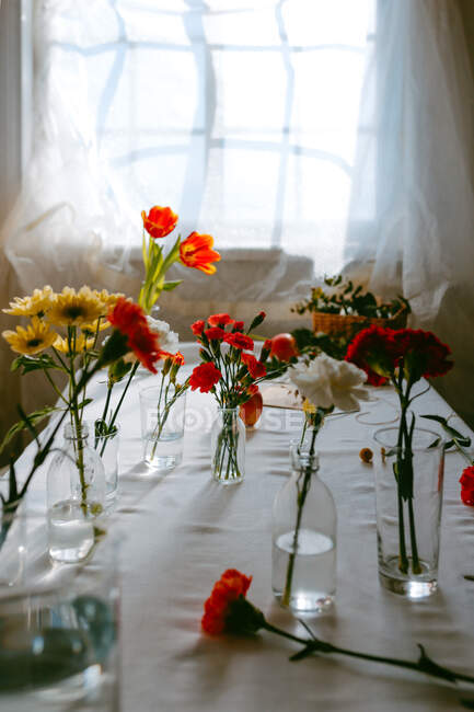 Окуляри свіжих тюльпанів і гвоздик у воді покладені на стіл для виготовлення букетів. — стокове фото