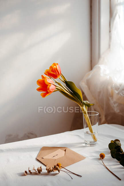 Tulipani fioriti in acqua posti su tovaglia bianca vicino a busta e finestra aperte — Foto stock
