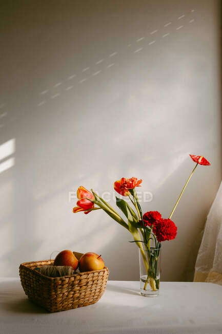 Ваза з квітучими тюльпанами та гвоздикою розміщена на столі біля яблук у плетеній мисці — стокове фото
