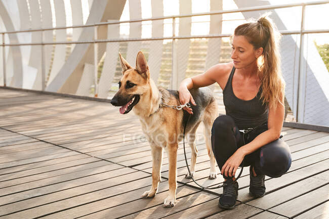 Full body of a female owner sitting near loyal German Shepherd dog with tongue out during running training — Stock Photo