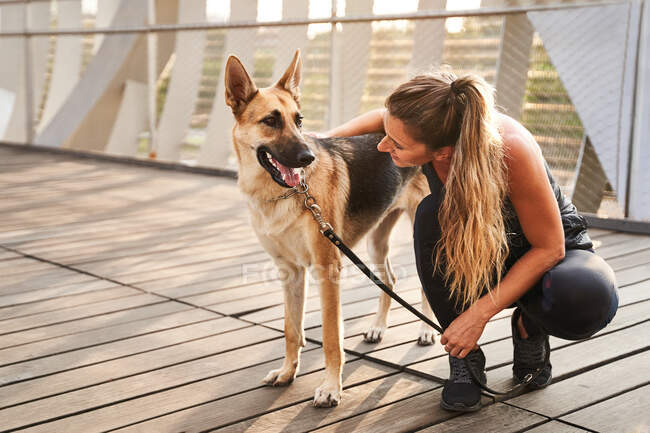 Full body of a female owner knee-down near loyal German Shepherd dog with tongue out during running training — Stock Photo