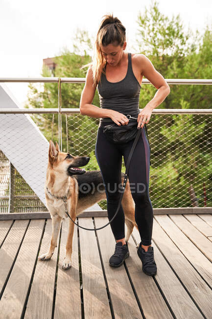 Full body of female owner sitting near loyal German Shepherd dog during running training — Stock Photo