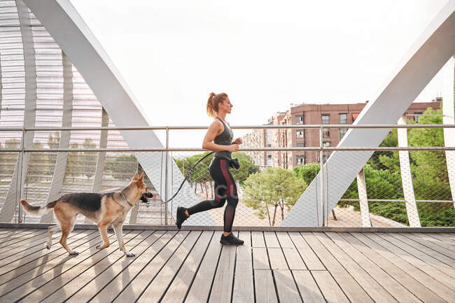 Visão lateral corpo inteiro do atleta feminino ativo correndo com cão pastor alemão durante o treinamento cardio — Fotografia de Stock