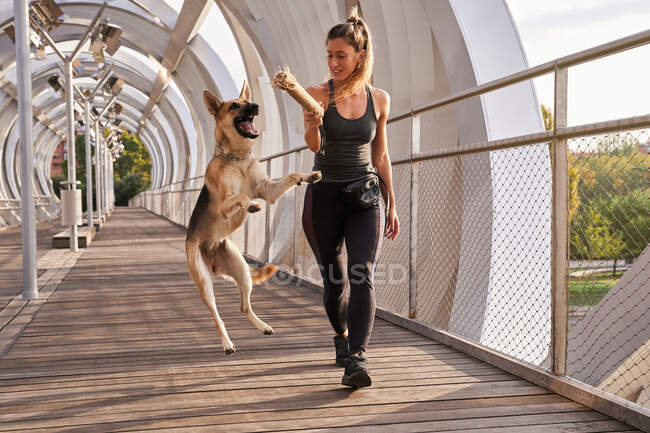 Mujer en ropa deportiva jugando con su perro pastor alemán mientras salta en una pasarela de madera - foto de stock