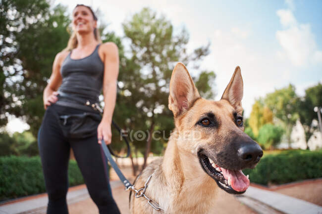 Baixo ângulo de proprietário feminino positivo em sportswear de pé com cão pastor alemão no parque — Fotografia de Stock