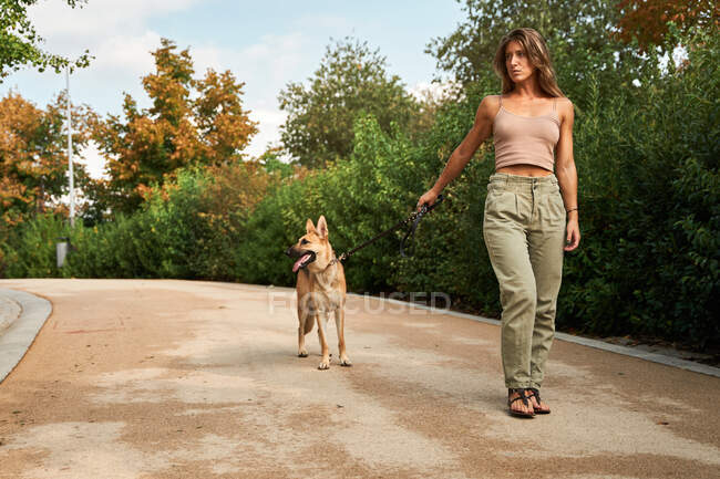 Cuerpo completo de propietaria femenina seria mirando con cautela mientras pasea perro pastor alemán en el parque - foto de stock