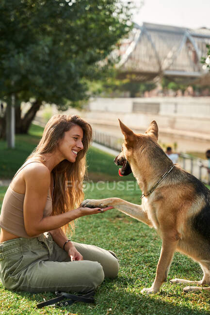 Vista lateral do proprietário fêmea positivo sentado perto do cão pastor alemão dando pata enquanto os comandos de treinamento no parque — Fotografia de Stock