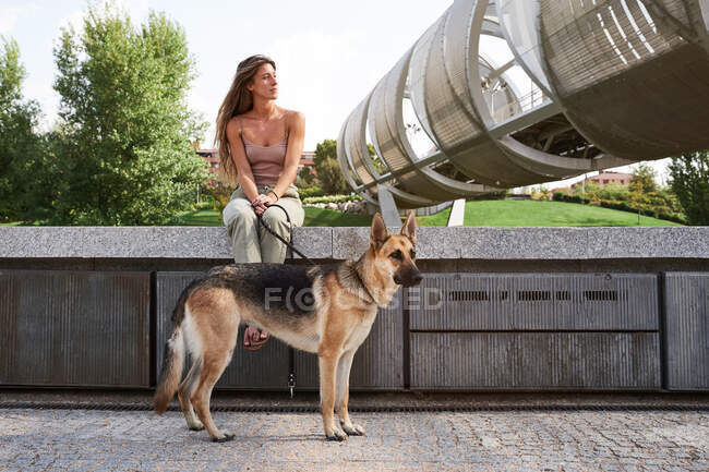Vista frontal del alegre propietario femenino apoyado con el perro pastor alemán en la frontera en el terraplén - foto de stock