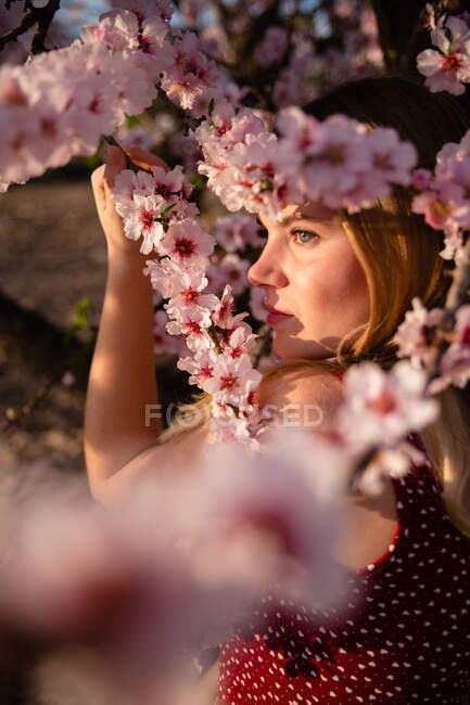 Donna bionda con i capelli lunghi in posa sotto un mandorlo in fiore — Foto stock