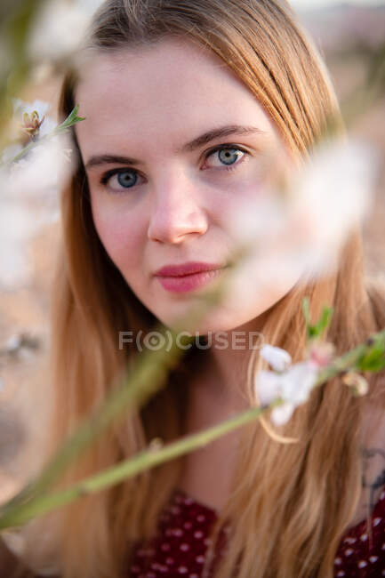 Mulher loira com cabelos longos posando sob uma amendoeira florida e olhando para a câmera — Fotografia de Stock