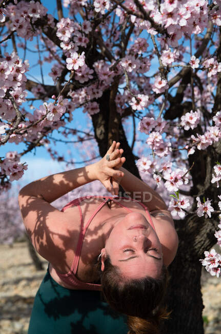 Mulher curvilínea em sportswear de pé em Garudasana no jardim com amendoeiras florescentes e praticando ioga — Fotografia de Stock