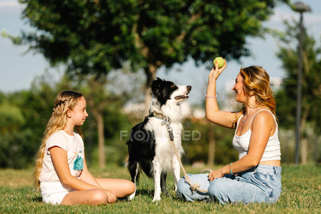 Vista lateral da mulher e adolescente sentados no prado no verão e brincando com o fofo cão Border Collie no dia ensolarado no fim de semana — Fotografia de Stock