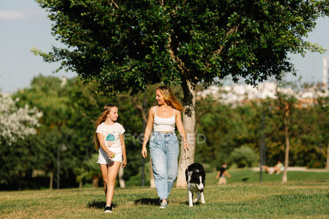 Alegre madre e hija corriendo en el parque de verano y jugando con adorable perro Border Collie mientras se divierten juntos en fin de semana - foto de stock
