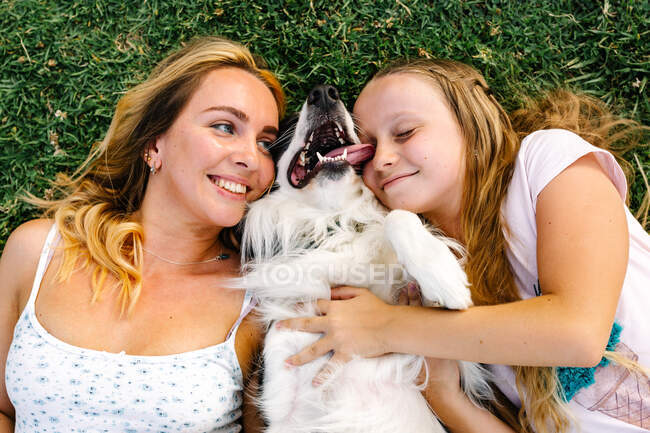 Desde arriba de la mujer y la niña encantados abrazando lindo esponjoso Border Collie perro mientras está acostado en la hierba en el prado en el parque - foto de stock