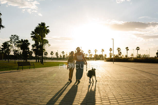 Обратный вид женщины, обнимающей девочку-подростка во время прогулки с собакой Border Collie вдоль дорожки в парке на фоне закатного неба летом — стоковое фото