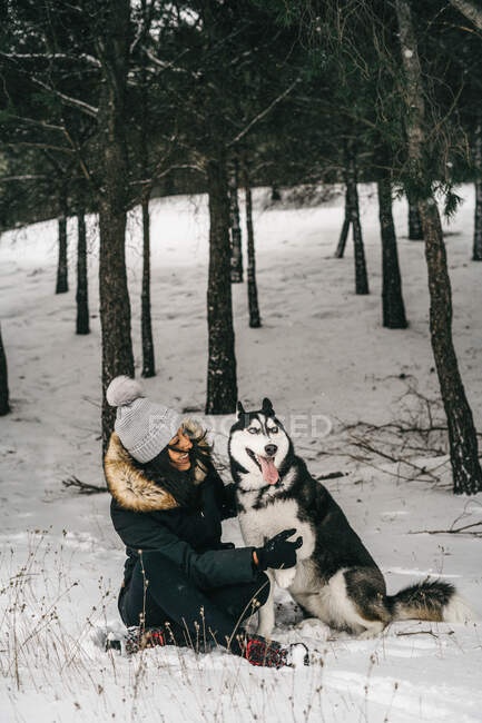 Молодая этническая леди в верхней одежде обнимает симпатичную хаски собаку, приседая в заснеженных лесах возле зеленых елок в зимний день — стоковое фото