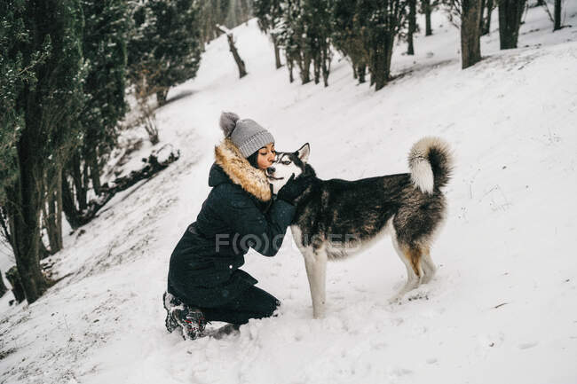 Улыбающаяся молодая женщина в верхней одежде обнимает и целует милую хаски-дог, приседая в снежных лесах возле зеленых елок в зимний день — стоковое фото