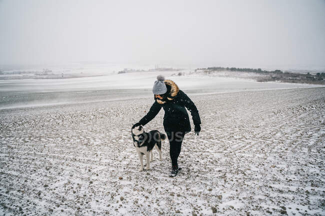 Взимку в сільській місцевості під сірим безхмарним небом повно невпізнаної жінки в теплому одязі, яка чіпляється до слухняного хрипкого пса. — стокове фото