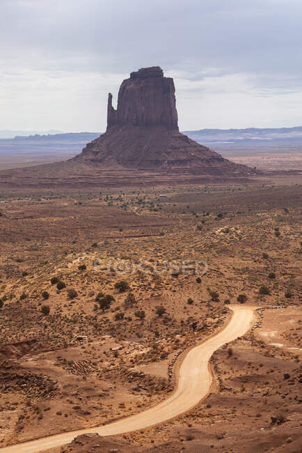 Malerische Landschaft mit Felsformationen auf Wüstenboden mit seltener Vegetation und Baum in Schlucht gegen bewölkten Himmel in den USA — Stockfoto