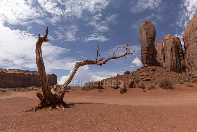 Amazing scenery of tall rocky monuments located in sunny desert sandy terrain against cloudy sky in national park of USA — Stock Photo