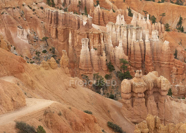 Paesaggio pittoresco di alte formazioni rocciose con vegetazione verde rara situato nel terreno desertico nel canyon di Bryce con arenaria negli Stati Uniti — Foto stock