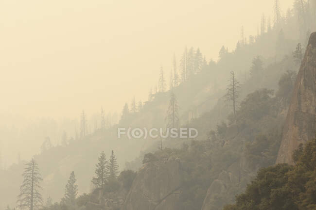 Крутий стрімкий скелястий схил з камінням, покритим хвойними деревами, розташованими в гірській місцевості проти туманного неба в США в похмуру погоду. — стокове фото