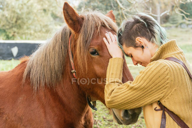 Боковой вид нежной женщины, гладящей морду каштанового коня, пасущегося на лугу во время выходных в сельской местности — стоковое фото