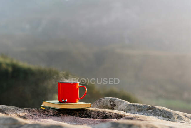 Metallbecher mit Heißgetränk an sonnigem Tag auf Buchband auf Felsen in bergigem Gelände platziert — Stockfoto