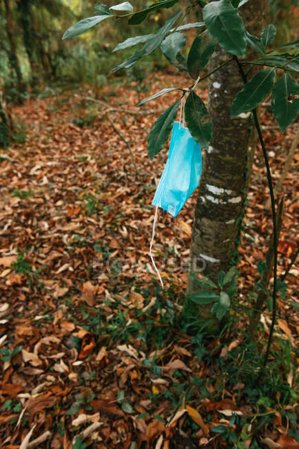 Alto ángulo de la máscara médica desechable usada que cuelga en la rama del árbol en el bosque que muestra el concepto de contaminación ambiental - foto de stock