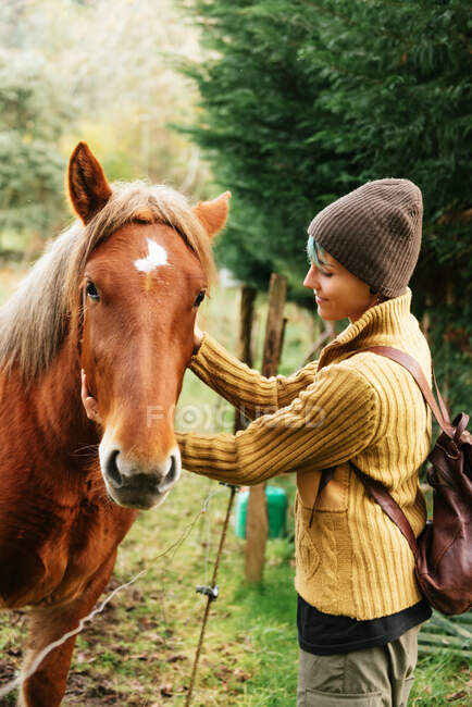 Бічний вид на ніжну самицю, що гладить мордою каштанового коня, що пасеться на лузі під час вихідних у сільській місцевості. — стокове фото