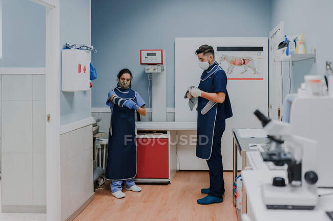Ireconhecível jovem veterinário masculino em máscara estéril e luvas de pé perto colega feminino enquanto se prepara para o trabalho em laboratório — Fotografia de Stock