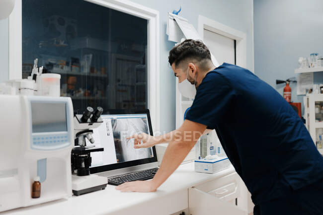 Анонимный ветеринар урожая показывает рентгеновское изображение на экране компьютера во время работы в лаборатории — стоковое фото