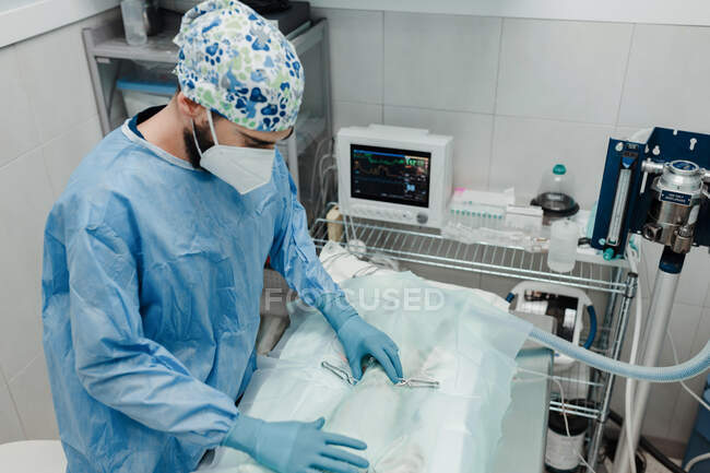 Vue latérale du vétérinaire masculin anonyme en uniforme stérile et masque couvrant le patient animal avec du tissu avant la chirurgie à l'hôpital — Photo de stock