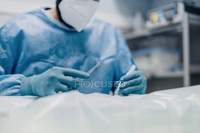 Crop anonymous male veterinarian in uniform and respiratory mask using medical instruments during surgery in hospital — Stock Photo