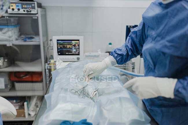 Side view of crop anonymous veterinarian in uniform operating animal patient under fabric with professional instruments in hospital — Stock Photo