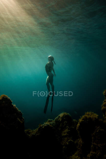 Seitenansicht einer schlanken Frau in Badeanzug und Schwimmflossen, die unter Wasser im türkisfarbenen Meer schwimmt — Stockfoto
