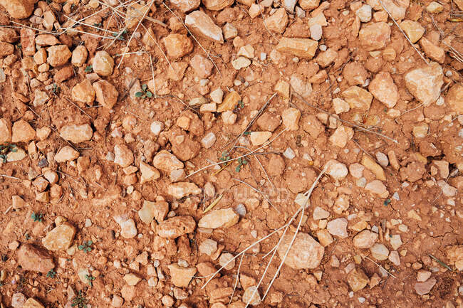 Ground texture background with stones — Stock Photo