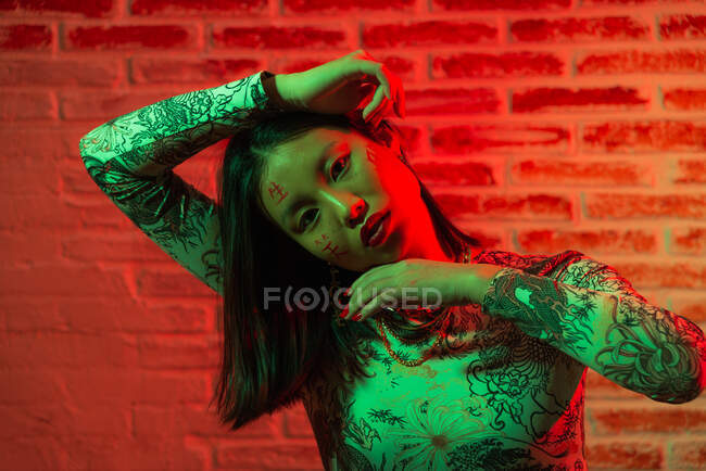 Неэмоциональная молодая азиатка в стильной одежде с иероглифами, нарисованными на лице, касающимися головы обеими руками и спокойно смотрящая в камеру на кирпичную стену в студии — стоковое фото