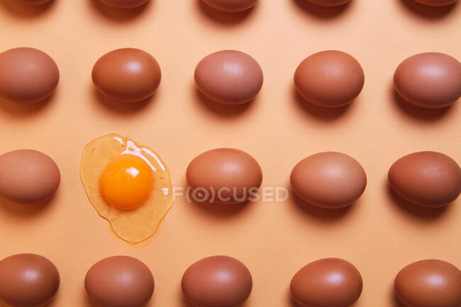 Сверху узор из цельных коричневых яиц, расположенных в четных рядах с сырыми яйцами на персиковом столе в студии — стоковое фото