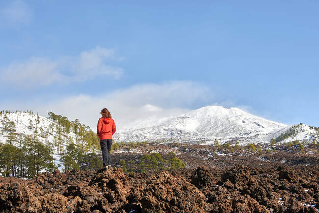 Назад вид неузнаваемой женщины-путешественницы в теплой куртке, стоящей на обширной грубой долине против суровых горных хвойных лесов и снега — стоковое фото