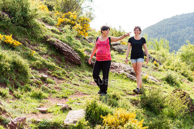 Pregnant woman and female friend walking along trail in mountainous terrain while talking and pointing away during trekking in summer - foto de stock