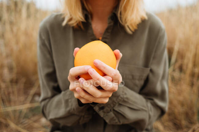 Crop anonymous female tourist in casual apparel with bright fresh orange standing on grass in daylight - foto de stock