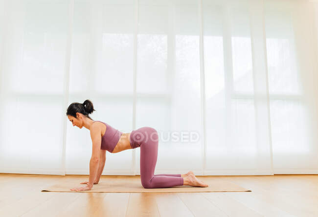 Side view full body of slim female doing Cakravakasana for warm up joints muscles of arms and legs during yoga training — стоковое фото