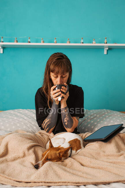 Спокойная женщина в обычной черной рубашке с татуированными руками, наслаждающаяся чашкой чая и сидящая на уютной кровати с глазами рядом с современной табличкой и очаровательной спящей собакой — стоковое фото